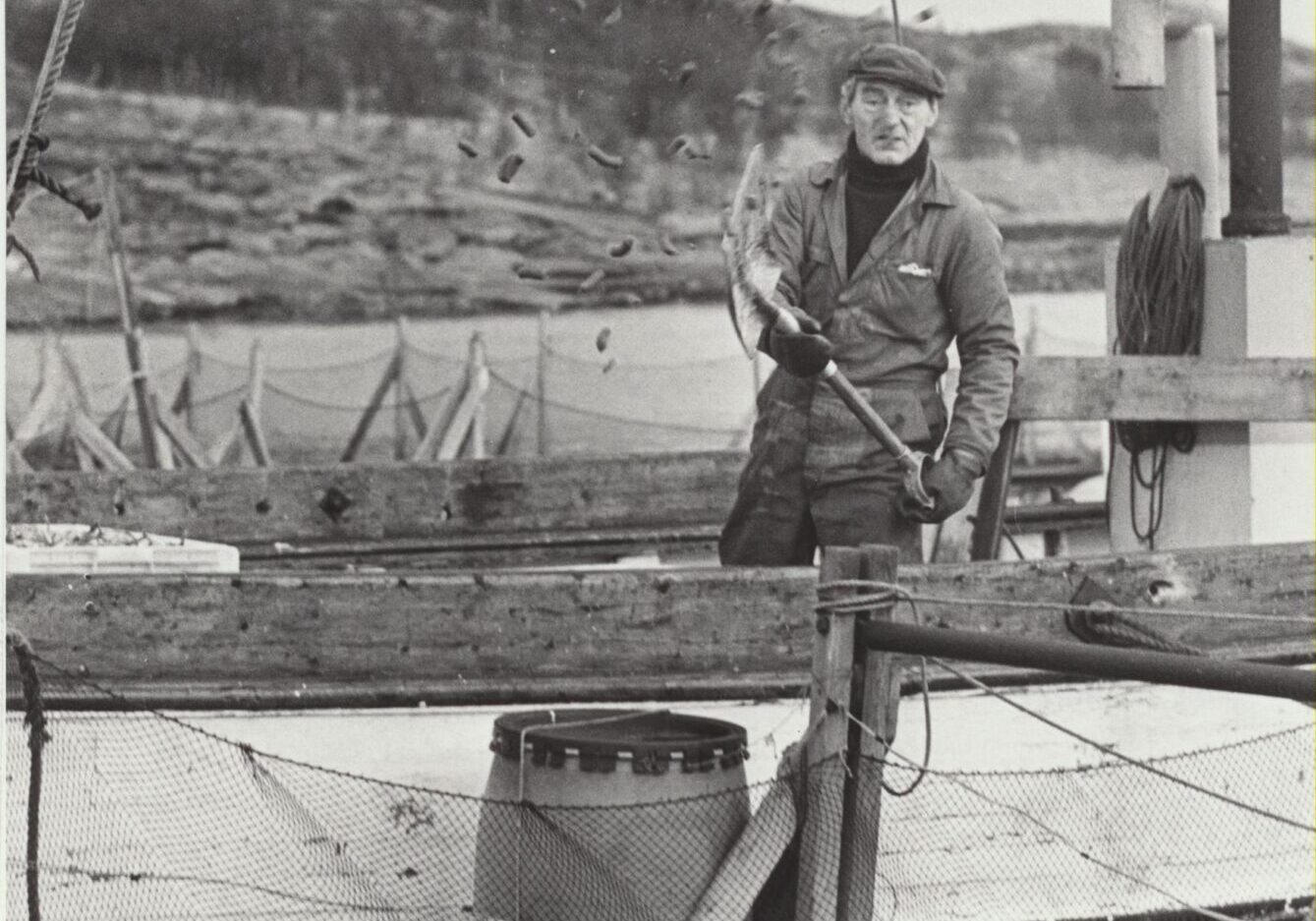 Alf Olsen mater laks_ Alf Olsen mater laks_